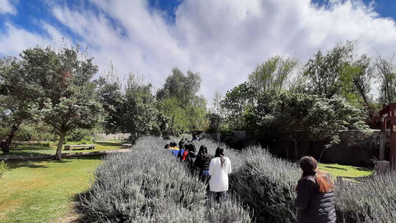 Estudiantes del Liceo Carlos Roberto Mondaca de Vicuña en el Jardín Poético del museo.